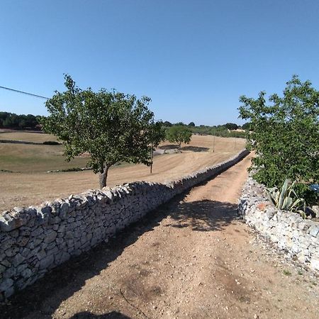 Masseria Catucci Agriturismo Alberobello Kültér fotó