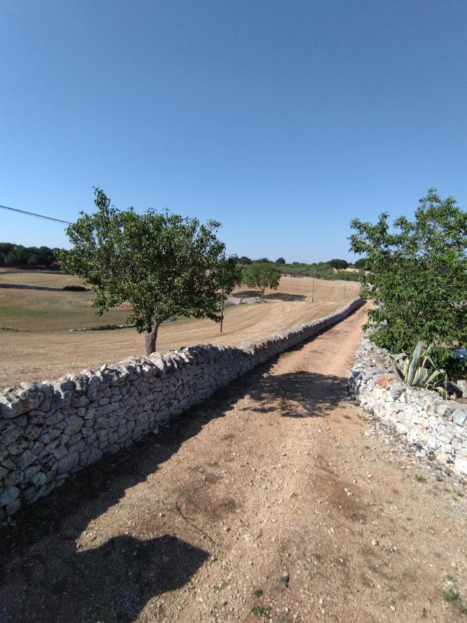 Masseria Catucci Agriturismo Alberobello Kültér fotó