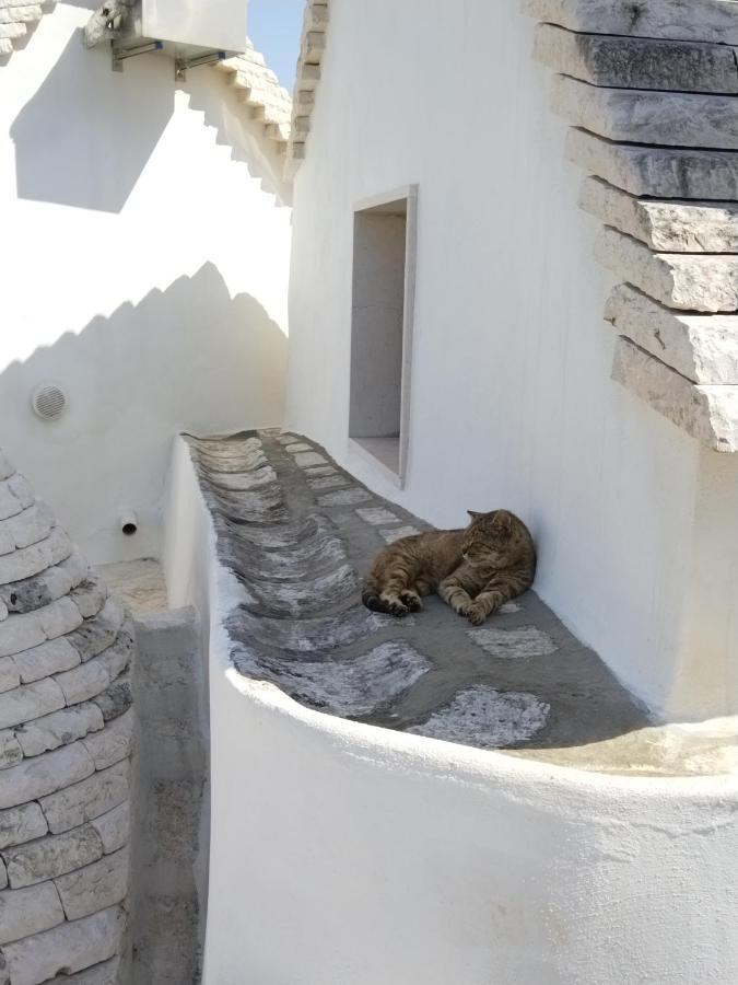 Masseria Catucci Agriturismo Alberobello Kültér fotó