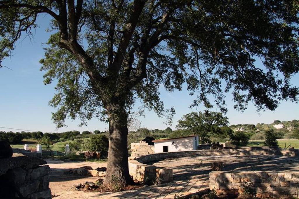 Masseria Catucci Agriturismo Alberobello Kültér fotó
